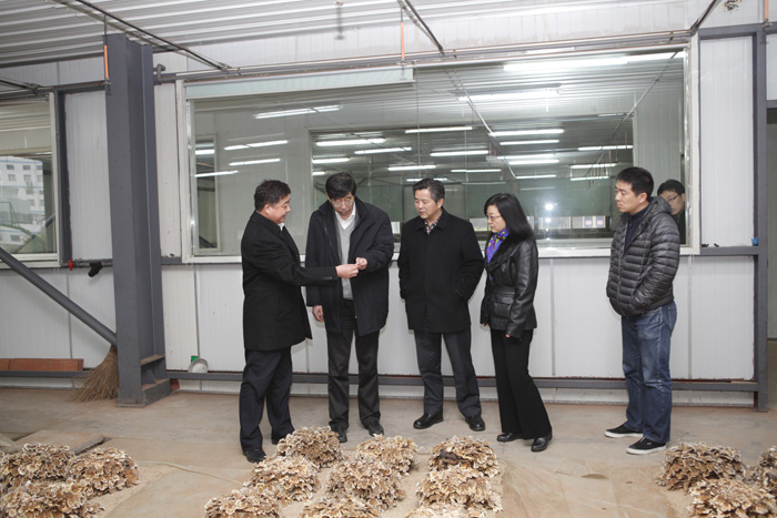 專(zhuān)題報(bào)道