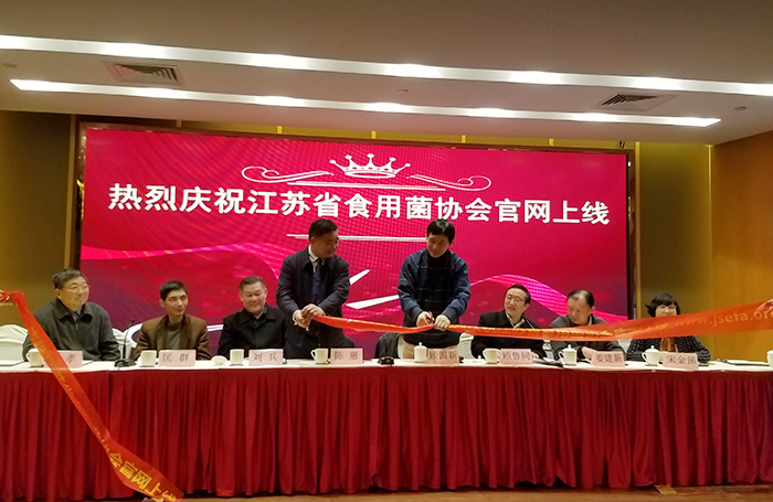 專(zhuān)題報(bào)道