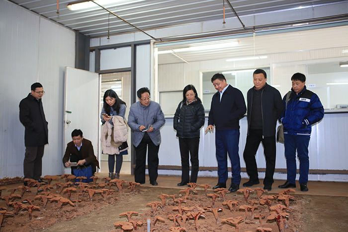 專(zhuān)題報(bào)道