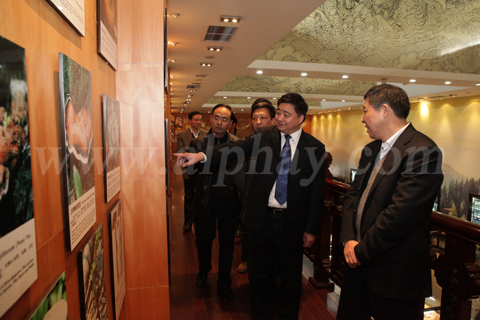 圖片關鍵詞 圖片關鍵詞