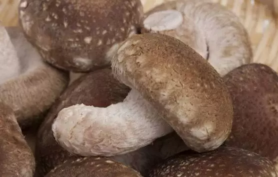 圖片關鍵詞 圖片關鍵詞