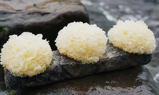 圖片關鍵詞 http://www.lyzxgybc.cn/ewebeditor/uploadfile/20180328092751720001.png