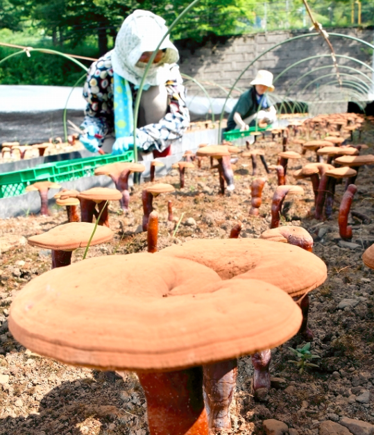 圖片關鍵詞 圖片關鍵詞