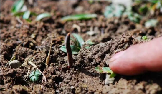 圖片關鍵詞 http://www.lyzxgybc.cn/ewebeditor/uploadfile/20180814102741148001.png