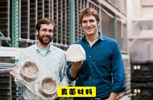 圖片關(guān)鍵詞 http://www.mushroommarket.net/file/upload/201911/18/15-20-40-34-283825.jpg