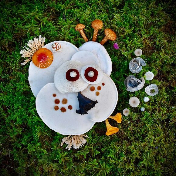 圖片關鍵詞 http://img2.jiemian.com/jiemian/original/20171123/151141487726812900_a580xH.jpg