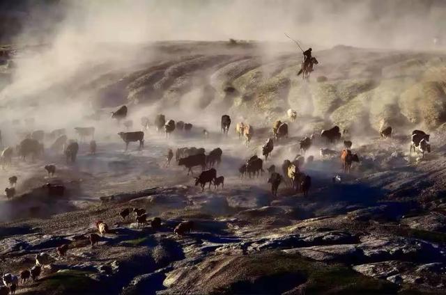 國家蘑菇地理：中國哪里的蘑菇最好吃？