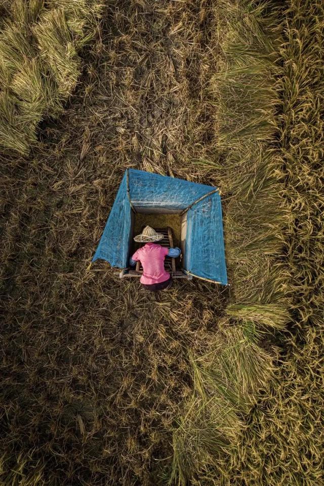 國家蘑菇地理：中國哪里的蘑菇最好吃？