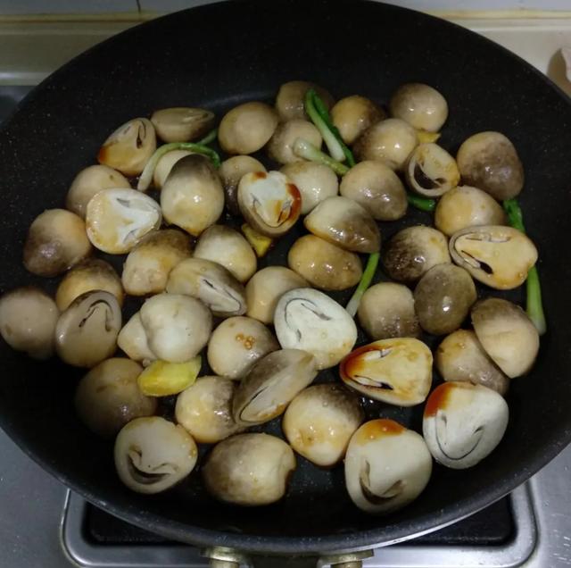 國家蘑菇地理：中國哪里的蘑菇最好吃？