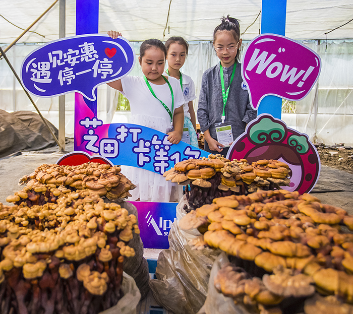 圖片關鍵詞 圖片關鍵詞