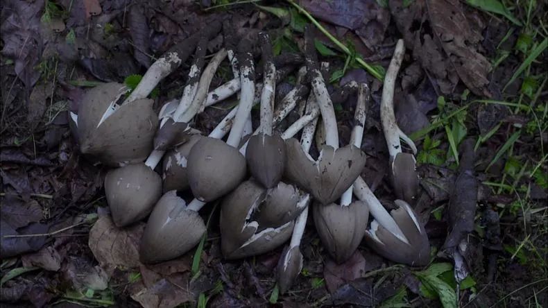 圖片關鍵詞 https://mmbiz.qpic.cn/mmbiz_jpg/EzTg6Bqtpm1Nz34Z9oSbx0FAc1BpicHG5CX2STgBiaD6ESPwJIXlpyPv0dOYlaNbmjG6VPzJtptTtiaB75Vjj3HTw/640?wx_fmt=jpeg