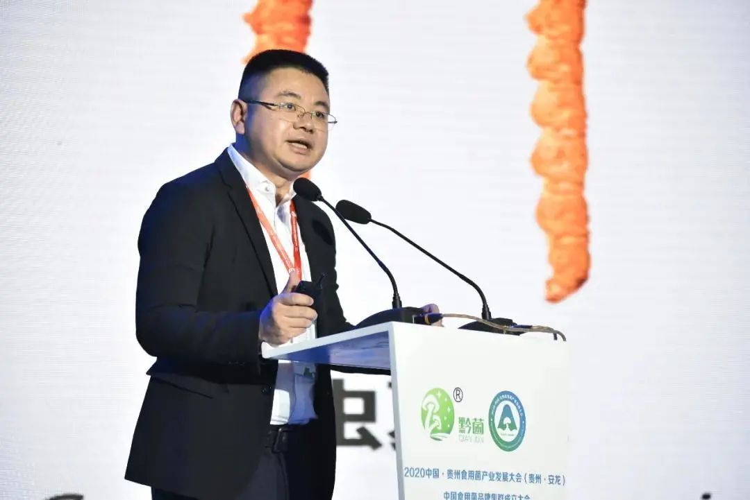 圖片關鍵詞 https://mmbiz.qpic.cn/mmbiz_jpg/tViaTicjwibVZmgEXXCALToc7mAB2rFo1LnbqdTZUg3ib087TUYjQeBvr5eCfJ7gtxTs9UerZmicJpjGkSUD4WTyK4w/640?wx_fmt=jpeg