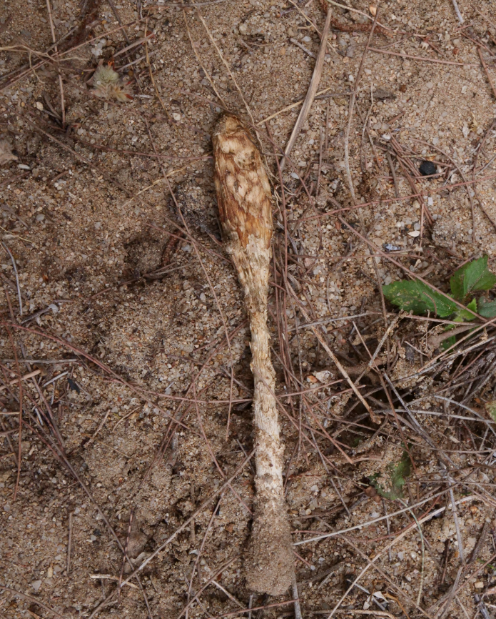 圖片關鍵詞 圖片關鍵詞