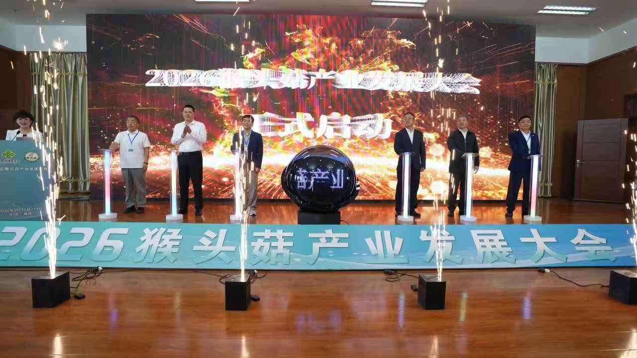 圖片關鍵詞