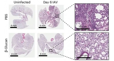 行業(yè)動態(tài)