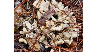 行業(yè)動(dòng)態(tài)